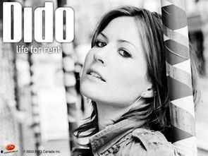 dido资料