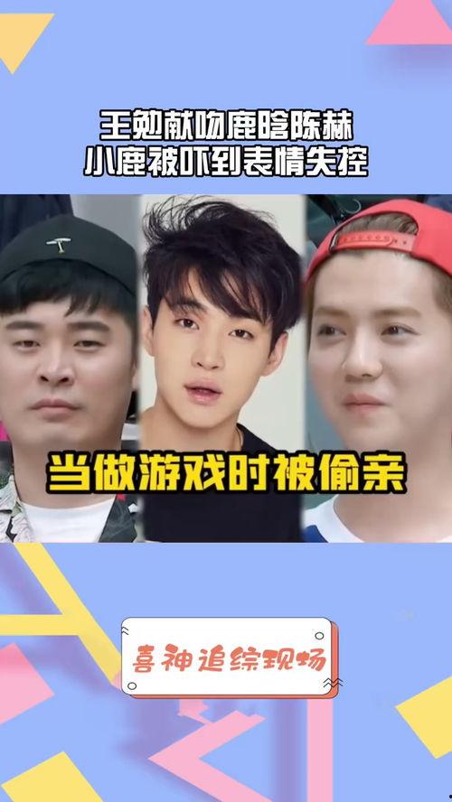 陈赫对小鹿表情包,萌态可掬，笑点满满